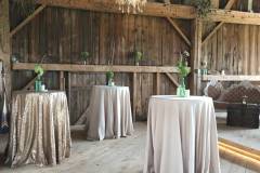 Chamgne-gold-Sequin-Barn-Dreams